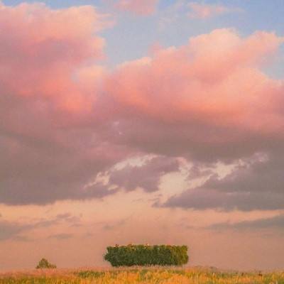 帝一娱乐手机app下载截图