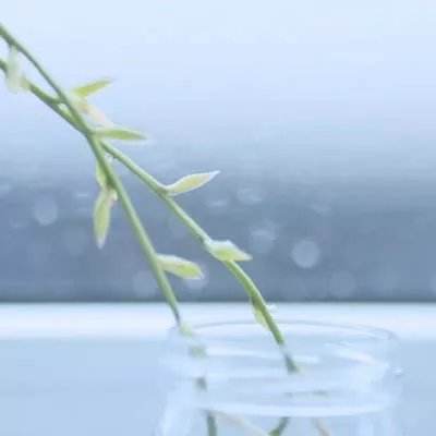 大发dafa888下载手机版截图